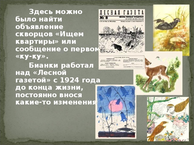   Здесь можно было найти объявление скворцов «Ищем квартиры» или сообщение о первом «ку-ку».   Бианки работал над «Лесной газетой» с 1924 года до конца жизни, постоянно внося какие-то изменения. 