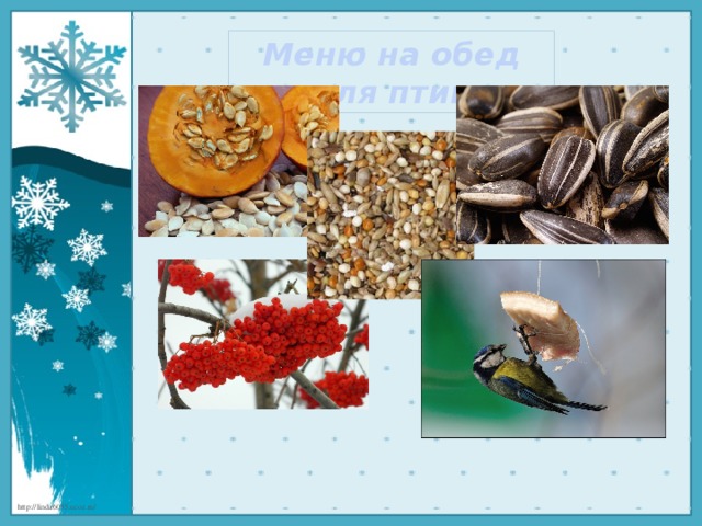 Меню на обед для птиц 