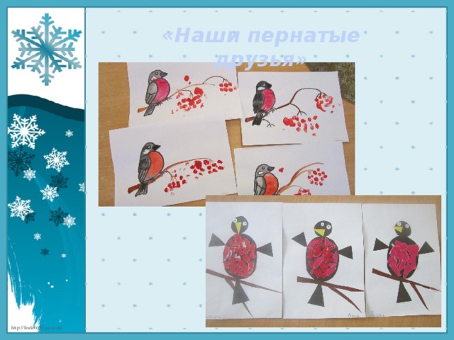 «Наши пернатые друзья» 