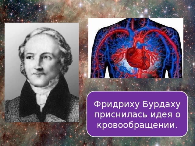 Анкетирование на тему сон и сновидения. Смотреть фото Анкетирование на тему сон и сновидения. Смотреть картинку Анкетирование на тему сон и сновидения. Картинка про Анкетирование на тему сон и сновидения. Фото Анкетирование на тему сон и сновидения