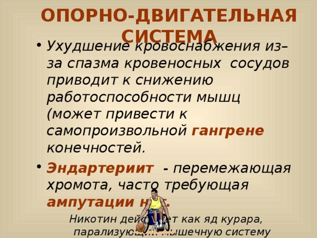 ОПОРНО-ДВИГАТЕЛЬНАЯ СИСТЕМА Ухудшение кровоснабжения из–за спазма кровеносных сосудов приводит к снижению работоспособности мышц (может привести к самопроизвольной гангрене конечностей. Эндартериит - перемежающая хромота, часто требующая ампутации ног. Никотин действует как яд курара, парализующий мышечную систему (страдает каждый 7 курильщик ) 