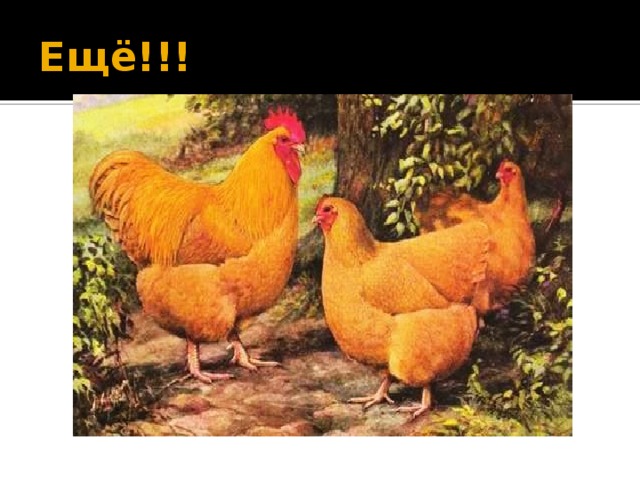 Ещё!!!