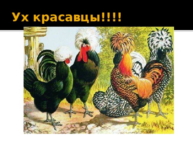 Ух красавцы!!!!