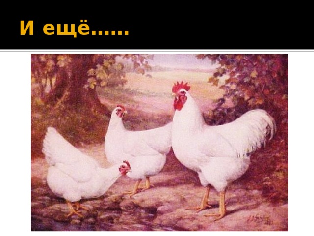 И ещё……