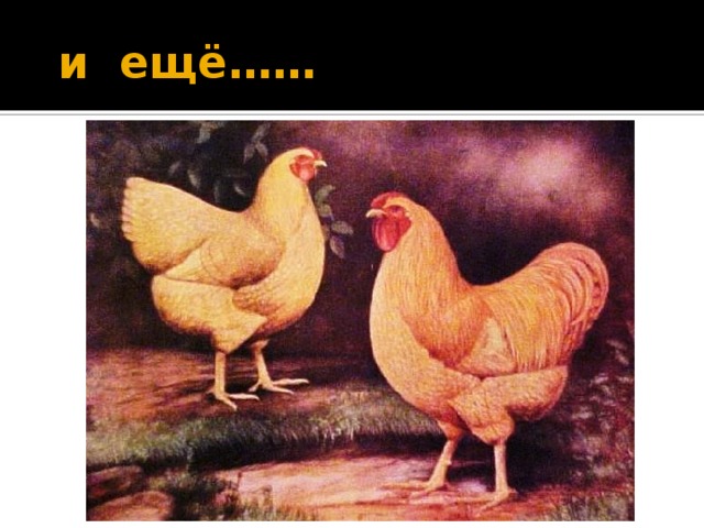 и ещё……