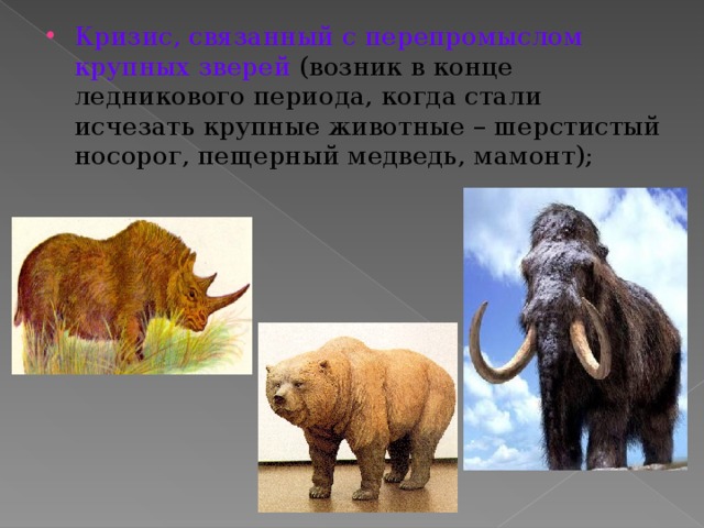 Кризис, связанный с перепромыслом крупных зверей  (возник в конце ледникового периода, когда стали исчезать крупные животные – шерстистый носорог, пещерный медведь, мамонт); 