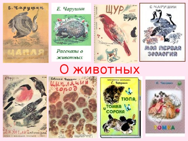 Проект книги рассказов о животных