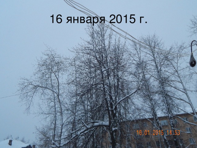 16 января 2015 г.