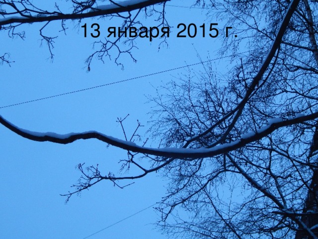 13 января 2015 г.