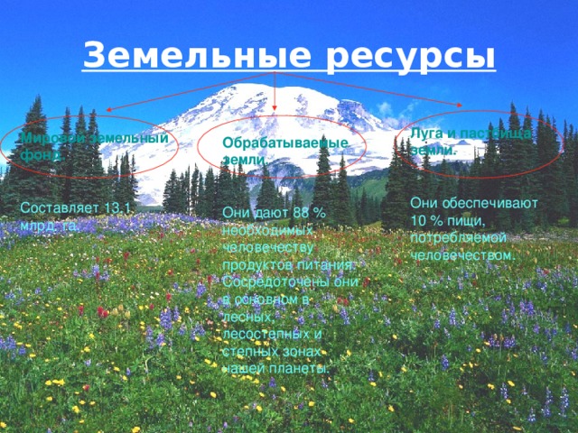 Земельные ресурсы Луга и пастбища земли.  Они обеспечивают 10 % пищи, потребляемой человечеством. Мировой земельный фонд.  Составляет 13,1 млрд. га. Обрабатываемые земли.  Они дают 88 % необходимых человечеству продуктов питания. Сосредоточены они в основном в лесных, лесостепных и степных зонах нашей планеты. 