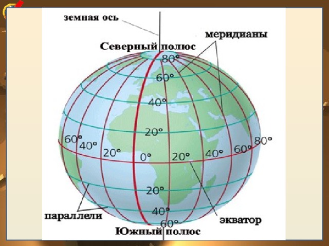 Параллели и меридианы 5 класс география презентация