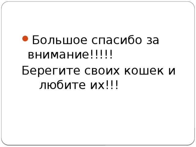 Большое спасибо за внимание!!!!! Берегите своих кошек и любите их!!! 