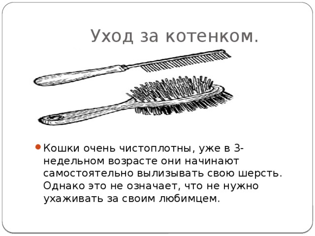  Уход за котенком. Кошки очень чистоплотны, уже в 3-недельном возрасте они начинают самостоятельно вылизывать свою шерсть. Однако это не означает, что не нужно ухаживать за своим любимцем. 
