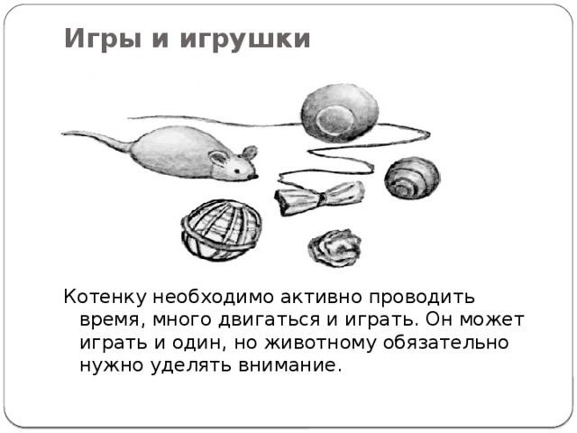 Игры и игрушки   Котенку необходимо активно проводить время, много двигаться и играть. Он может играть и один, но животному обязательно нужно уделять внимание. 