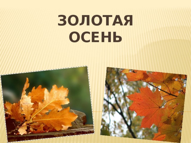 Золотая  осень 