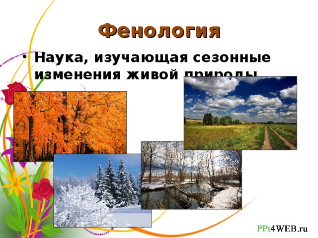 Презентация сезонные изменения в живой природе 9 класс биология