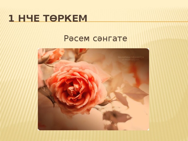 1 нче төркем Рәсем сәнгате 