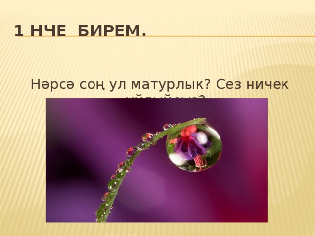 1 нче бирем. Нәрсә соң ул матурлык? Сез ничек уйлыйсыз? 