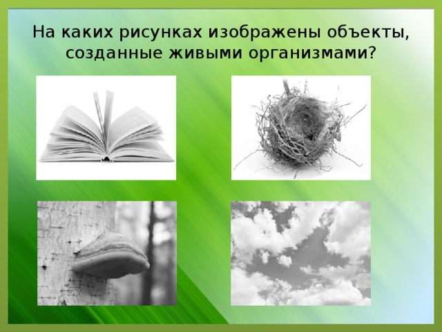 На каких рисунках изображены объекты, созданные живыми организмами?