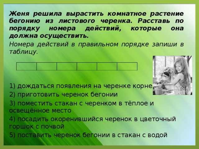 Женя решила вырастить комнатное растение бегонию из листового черенка. Расставь по порядку номера действий, которые она должна осуществить. Номера действий в правильном порядке запиши в таблицу. 1) дождаться появления на черенке корней 2) приготовить черенок бегонии 3) поместить стакан с черенком в тёплое и освещённое место 4) посадить окоренившийся черенок в цветочный горшок с почвой 5) поставить черенок бегонии в стакан с водой