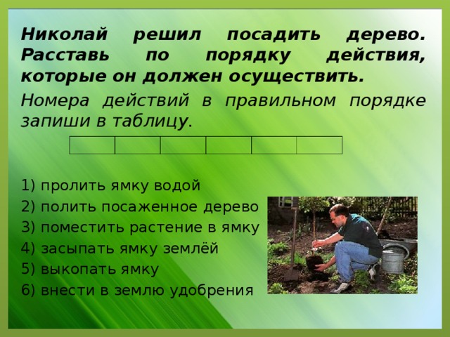 Николай решил посадить дерево. Расставь по порядку действия, которые он должен осуществить. Номера действий в правильном порядке запиши в таблицу. 1) пролить ямку водой 2) полить посаженное дерево 3) поместить растение в ямку 4) засыпать ямку землёй 5) выкопать ямку 6) внести в землю удобрения