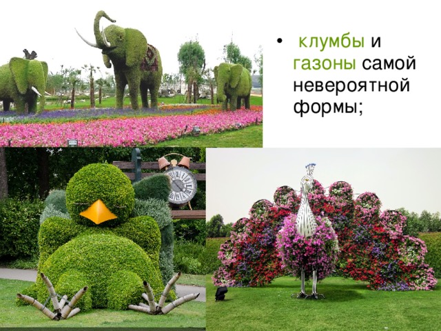 клумбы газоны 