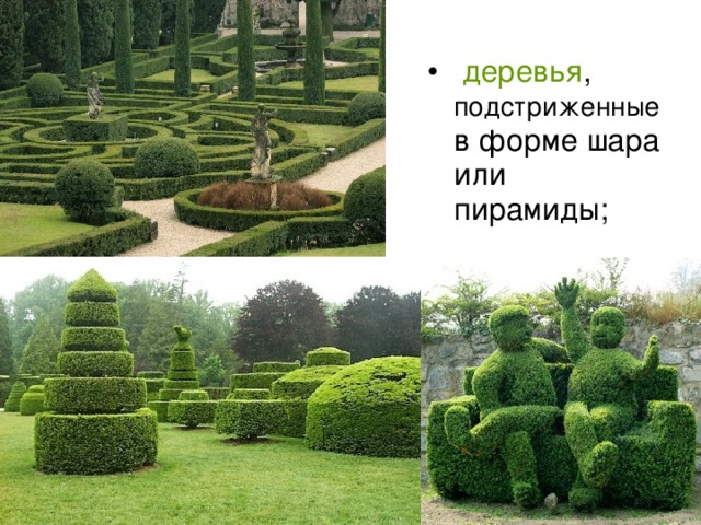 деревья подстриженные 