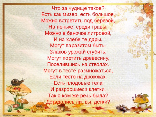 Что за чудище такое?  Есть как мизер, есть большое.  Можно встретить под берёзой,  На пеньке, среди травы.  Можно в баночке литровой,  И на хлебе те дары.  Могут паразитом быть-  Злаков урожай сгубить.  Могут портить древесину,  Поселившись на стволах.  Могут в тесте размножаться,  Если тесто на дрожжах.  Есть плодовые тела  И разросшиеся клетки.  Так о ком же речь была?  Догадались ли, вы, детки?   