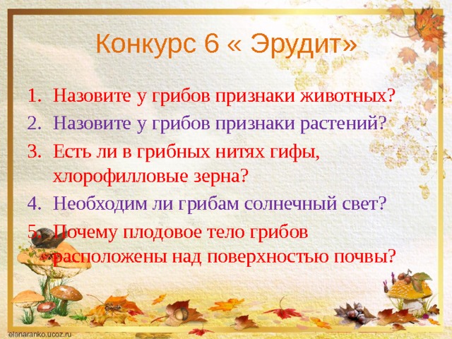 Конкурс 6 « Эрудит» Назовите у грибов признаки животных? Назовите у грибов признаки растений? Есть ли в грибных нитях гифы, хлорофилловые зерна? Необходим ли грибам солнечный свет? Почему плодовое тело грибов расположены над поверхностью почвы? 