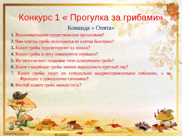 Конкурс 1 « Прогулка за грибами» Команда « Опята» 1. Взаимовыгодное существование организмов? 2 . Чем клетки гриба отличаются от клеток бактерии? 3 . Какие грибы паразитируют на злаках? 4. Какие грибы в лесу появляются первыми? 5. Из чего состоит плодовое тело шляпочного гриба? 6. Какие съедобные грибы можно выращивать круглый год? 7. Какие грибы ищут со специально выдрессированными собаками, а во Франции- с домашними свиньями? 8. Настой какого гриба можно пить? 