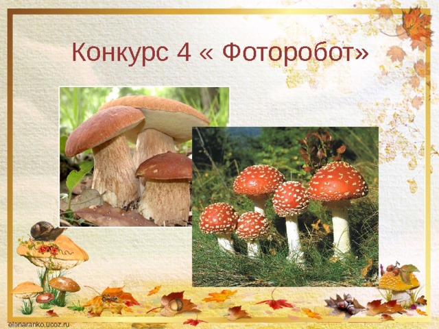 Конкурс 4 « Фоторобот» 