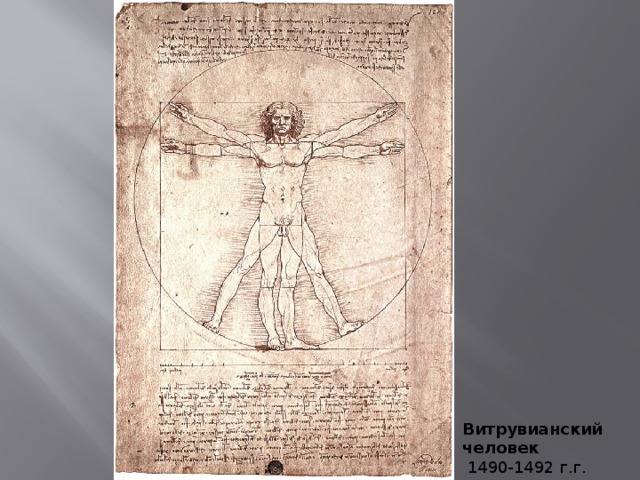 Кто нарисовал витрувианского человека
