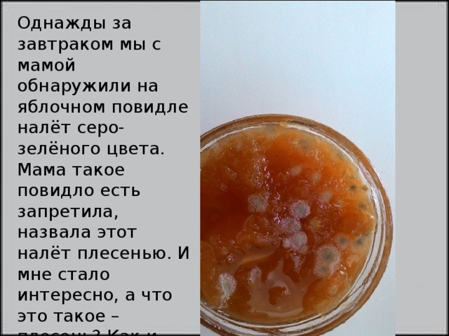 Однажды за завтраком мы с мамой обнаружили на яблочном повидле налёт серо-зелёного цвета. Мама такое повидло есть запретила, назвала этот налёт плесенью. И мне стало интересно, а что это такое – плесень? Как и отчего она появляется, вредна или полезна она для человека? 