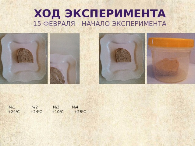 Ход эксперимента 15 февраля - начало эксперимента  № 1 №2 №3 №4  +24  С +24  С +10  С +28  С     