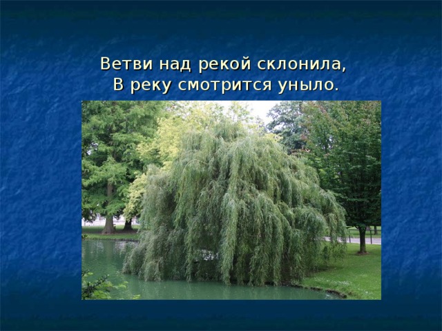 Ветви над рекой склонила,  В реку смотрится уныло. 