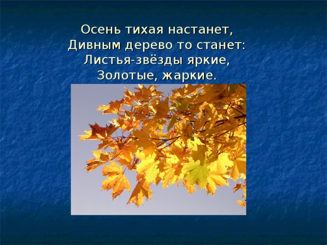 Осень тихая настанет,  Дивным дерево то станет:  Листья-звёзды яркие,  Золотые, жаркие. 