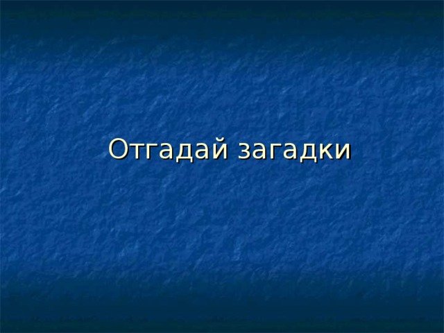 Отгадай загадки 