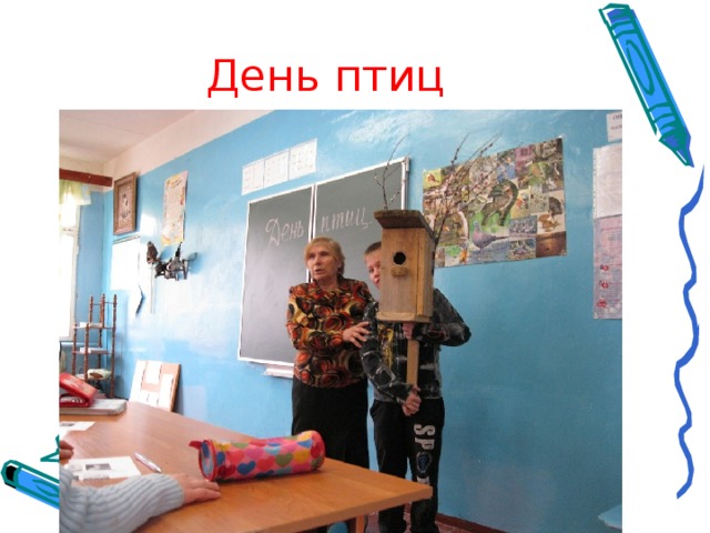 День птиц 