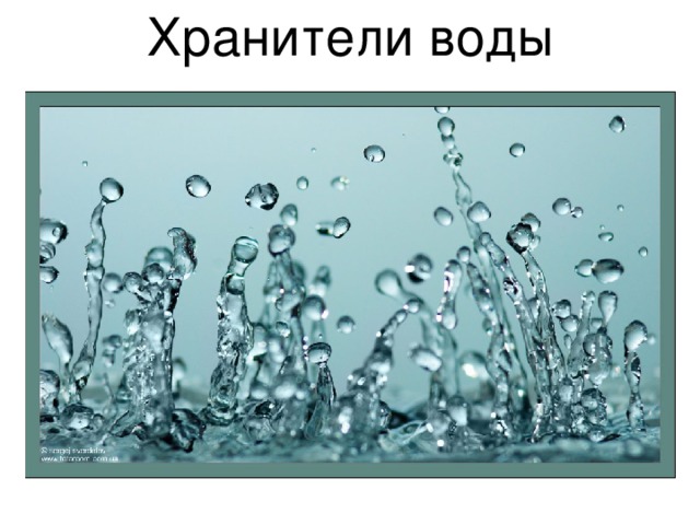 Хранители воды 