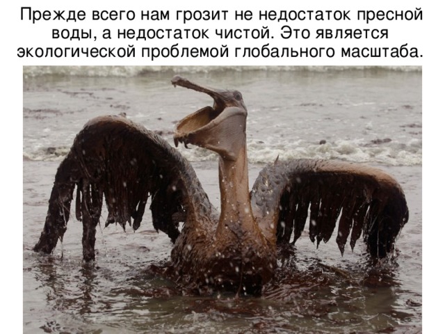  Прежде всего нам грозит не недостаток пресной воды, а недостаток чистой. Это является экологической проблемой глобального масштаба. 