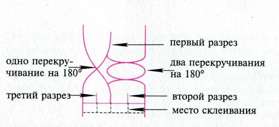 Склеивание и разрезание строк информатика 7 класс