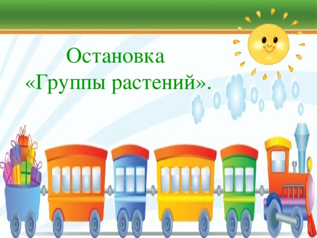 Остановка  «Группы растений». 
