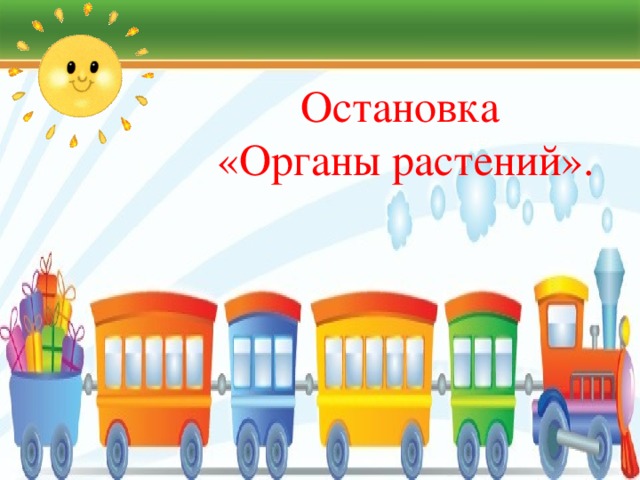 Остановка  «Органы растений». 