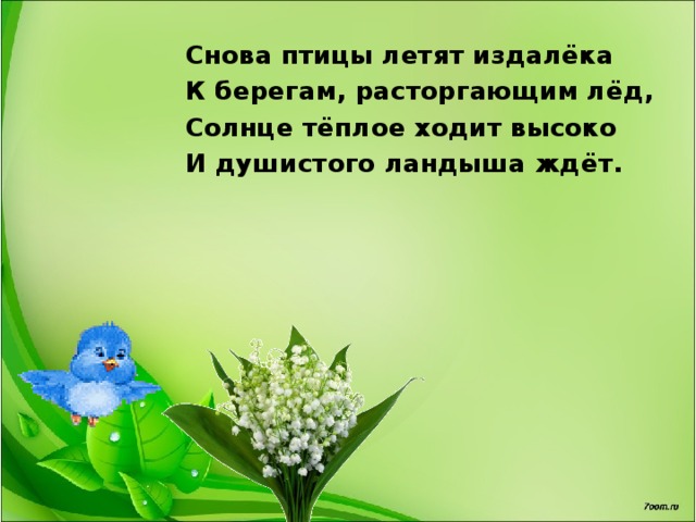 Снова птицы летят издалёка К берегам, расторгающим лёд, Солнце тёплое ходит высоко И душистого ландыша ждёт.  