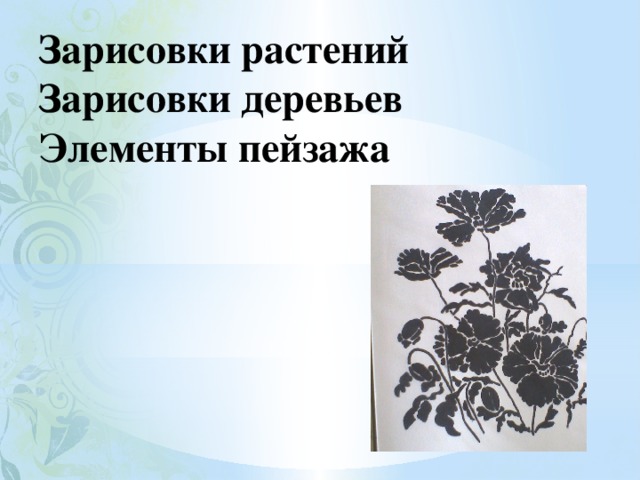 Зарисовки растений  Зарисовки деревьев  Элементы пейзажа   
