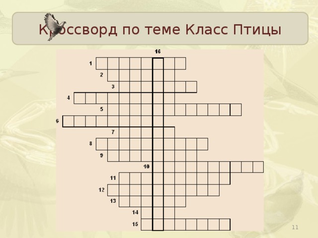 Кроссворд по теме Класс Птицы  