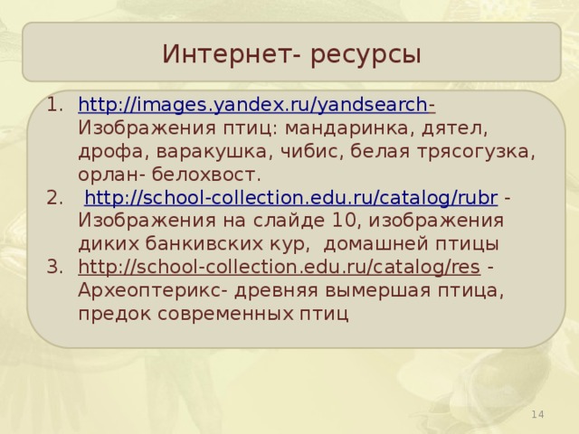 Интернет- ресурсы http ://images.yandex.ru/yandsearch -  Изображения птиц: мандаринка, дятел, дрофа, варакушка, чибис, белая трясогузка, орлан- белохвост.  http://school-collection.edu.ru/catalog/rubr  - Изображения на слайде 10, изображения диких банкивских кур, домашней птицы http://school-collection.edu.ru/catalog/res  - Археоптерикс- древняя вымершая птица, предок современных птиц  