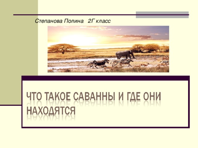 Степанова Полина 2Г класс 
