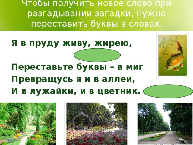 Чтобы получить новое слово при разгадывании загадки, нужно переставить буквы в словах. Я в пруду живу, жирею,  К А Р П Переставьте буквы – в миг Превращусь я и в аллеи, И в лужайки, и в цветник. П А Р К   