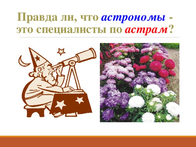 Правда ли, что астрономы - это специалисты по астрам ? 